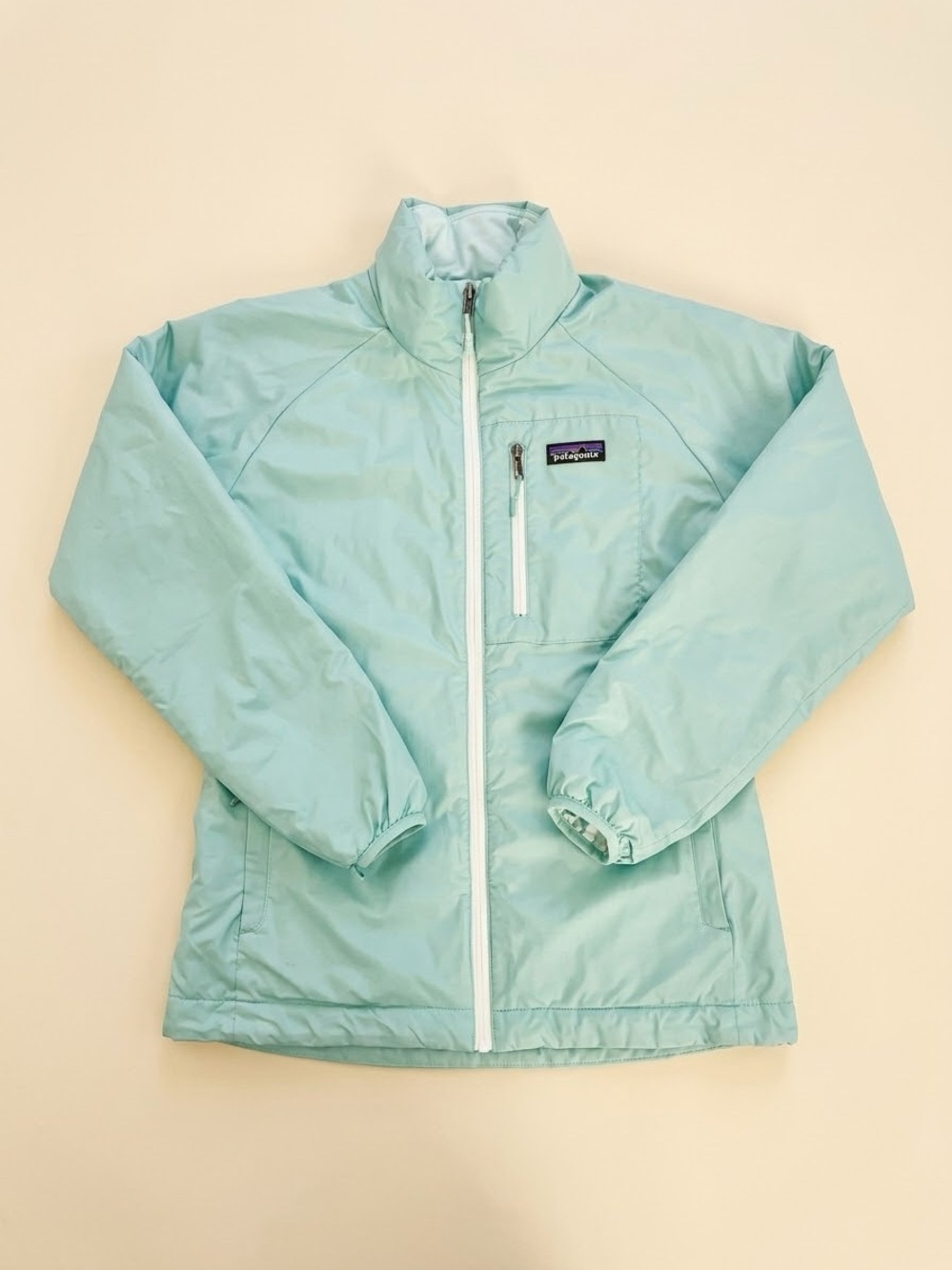 Patagonia Light Green Jacket